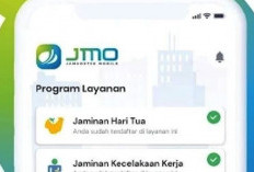 JMO Tidak Bisa Dibuka Hari Ini, Ternyata Begini Penyebab Lengkap Dengan Tutorial Mengatasinya