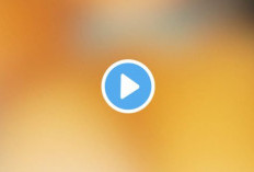 Video Mesum Karyawati Coffee Shop Kendari Viral di Telegram, Link Download Full Durasi Jadi Buruan!