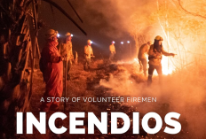 Link para Assistir Incêndios Filme Completo Dublado Online Legendado Em Portuguêse (BR), Combatendo o pior Incêndio