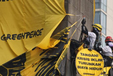 Sempat Ditahan Berjam-jam di Polda Enam Aktivis Greenpeace Akhirnya Dipulangkan, Dinyatakan Tidak Penuhi Unsur Pidana