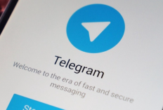 Link de Vídeo Vazado No Telegram em Março de 2025, Coleção Mais Recente Sem Vpn Confira Aqui!