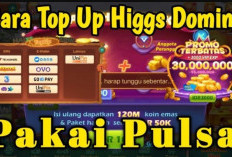 Top Up Chip Higgs Domino 120M Cuma Rp 10 Ribu, Buruan Dapatkan Sekarang Beserta Diskon Menarik!