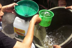 Syarat Menjadi Agen Minyak Tanah Pertamina Resmi, Menilik Peluang Usaha yang Menjanjikan!