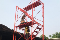 Harga Sewa Scaffolding Steger Terdekat dengan Lokasi Saya Saat Ini Berdasarkan Ukurannya, Untuk Keselamatan Kerja