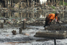 Kisah Makam di Kampung Apung Kapuk Teko yang Tenggelam, Peziarah Menabur Bunga di Atas Air!