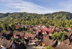 Daftar 5 Daerah Sumatera Barat yang Alami Pemekaran Wilayah, Ada yang Baru Dimekarkan Mau Usulkan Lagi!