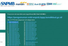 40 Link Mirror Cek Pengumumman UTBK Tahun 2024 Terlengkap, Mudah Beserta Langkah-langkahnya!