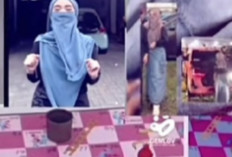 Viral! Link Auraprin Ular Tangga Pink Bikin Geger Sosial Media, Download Versi Asli 100% Original!