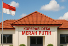 Cara Daftar Loker Manajer Koperasi Merah Putih, Dibuka Sampai 30.000 Kandidat Begini Syaratnya: CATAT! 