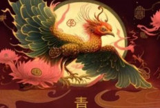 Sinopsis Drama China Rising Feather (2023) Balas Dendam Qing Que pada Pengkhianatan Keluarganya!
