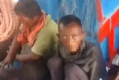 Keji! Tak Capai Target Tangkapan Cumi 3 Kg, 4 ABK KM Maulana 23 Disiksa di Tengah Laut 