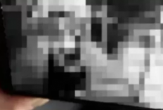 Viral Video Wik wik TikTok Link Asli Diperankan TKI Blitar, Kini Pelaku Pria Sudah Ditangkap!