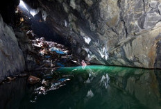 Kumpulan Forum Underground Indonesia Terbaru 2024, Masih Aktif! Cek Disini Daftar Lengkapnya