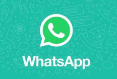 Link WhatsApp Group Video Viral Terbaru 2024 Belum Penuh, Banyak Koleksi Baru Bikin Tegang!