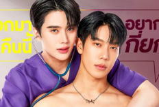 Sinopsis Wandee Goodday Special (2024), Drama BL Thailand Tentang Persaingan dan Friend With Benefit