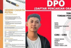 Masih Buron! Pelaku Rudakpaksa, Hendri Cahaya Putra Jadi DPO Polres Tapanuli Tengah, Terlihat Pintar Ternyata Cabul