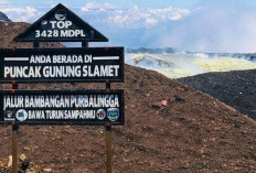 Kronologi M Fahri Maulana, Remaja 16 Tahun Asal Tegal yang Terpeleset ke Dasar Kawah Gunung Slamet Hingga Meninggal Dunia