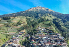 Rekomendasi 7 Kota Terbaik untuk Pensiun di Indonesia, Bentang Alam Indah Bikin Tenang dan Anti Hectic di Rush Hour 