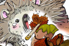 RAW Lecture En Ligne Manga One Piece Chapitre 1128 Scan VF FR, Spoiler Reddit : Aventure au Château de Bigstein
