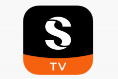 Download ShortMax MOD APK 1.9.18 Terbaru 2024 Unlocked Premium: Nonton Streaming Drama, Series, dan Film Gratis