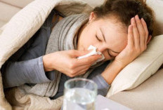 GEGER! Potongan Surat Dinkes Soal Flu Burung Beredar Warganet Panik Nggak Berani Makan Ayam, Ternyata Begini Faktanya!