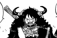 Lire le Manga One Piece Chapitre 1135 VF FR Scan, Préparez-vous pour le Combat !