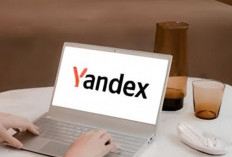 Link Download Yandex RU Video Viral APK 2024 Unlimited Money Gratis No Sensor, Streaming Video Panas Sepuasnya!