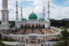 Asal Usul Sejarah Kabupaten Rokan Hulu, Dapat Julukan Jantungnya Pulau Sumatera dari Peneliti Jerman!