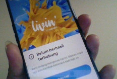 Error! Livin by Mandiri Tidak Bisa Dibuka, Tenang! Ikuti Langkah-langkah Untuk Mengatasinya