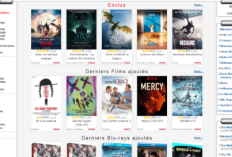 Zone de Telechargement, Site web de streaming de films non diffusés en salle, accessible gratuitement