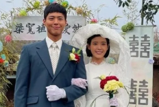 Daftar Lengkap Nominasi APAN Star Awards 2025: Persaingan Sengit Antar Bintang K-Drama, IU dan Park Bo Gum Jadi Salah Satunya!