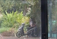 Link Video Pelajar Mesum di Probolinggo Viral Twitter X, Durasi 3 Menit Tanpa Sensor Ramai Diburu!