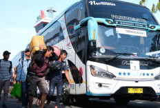 Mudik Gratis Nataru 2026-2027 Siap Dibuka Desember, Kemenhub Siapkan 70 Bus dan Usulkan WFA Untuk Karyawan 