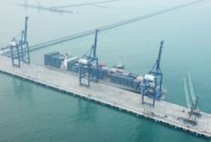 PT Power Cargo Logistics Apakah Penipuan atau Bukan? Para Pelamar Kerja Harus Lebih Waspada!