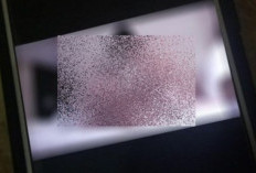 Guru Grobogan Viral Link Video Asli Durasi Full No Sensor Versi HD, Part 1 dan Part 2 Lengkap!