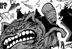RAW Lecture En Ligne Manga One Piece Chapitre 1130 Scan VF FR, Les Secrets Cachés