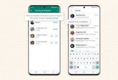 Kumpulan Link Grup WA Video Bebas Viral Indonesia yang Jadi Buruan, Join Sekarang Juga Sebelum Full 