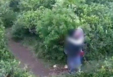 Download Video Viral Baju Kuning di Kebun Asli Full HD, Rekam Bocil Lakukan Kegiatan Tak Senonoh Dengan Jelas