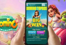 Link Download Higgs Domino Topbos X8 Speeder Versi Terbaru Februari 2024 New Update, Jauh Lebih Murah
