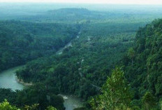 Rekomendasi 7 Destinasi Wisata Tersembunyi di Asahan Berikan Pemandangan Surgawi, Wajib Mampir Kalau ke Sumut 