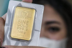 Emas Cebol Adalah? Istilah Investasi Viral Media Sosial, Ternyata Ini Fungsi dan Keuntungan Pemiliknya