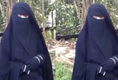 Link Viral Cadar Hitam Coolmax Full Durasi HD, Buruan Download Sebelum Dihapus Admin!