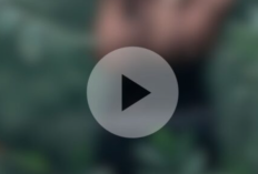 Vídeo Viral de Helen Vásquez Telegrama Completo MP4 enlance gratis, el contenido es sorprendente