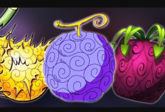 Le Prochain Membre du Chapeau de Paille qui a le Potentiel de Manger des Fruits du Diable en un Seul Morceau, Qui est le Candidat le Plus Fort ?