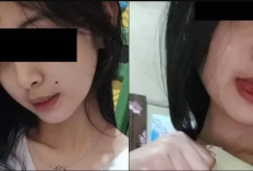 Koleksi Video Kaka Adik Terlengkap Telegram Viral, Durasi Penuh Tanpa Sensor Disini!