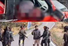 Kembali Terjadi! KKB Tembak Mati Sopir Travel Hingga Tewas, Sebelumnya Dipaksa Ucap Kemerdekaan Papua