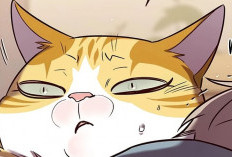 Lien pour Lire Manhwa Eleceed Chapitre 324 VF Scan, Transformez-vous en un Vrai Chat