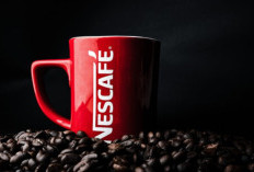 Apakah Nescafe Pro Israel? Diduga Terafiliasi Dengan Perusahaan Yang Mendukung Genosida, Gini Kata MUI