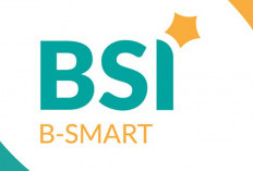 Kenapa BSI Mobile Error Hari Ini, Cek Penyebab dan Cara Mengatasinya di Sini 