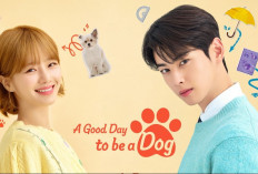 Kutukan Keluarga yang Turun Temurun! Sinopsis Drama Korea A Good Day to Be a Dog (2023) Kisah Hae Na yang Berjuang dengan Kehidupannya